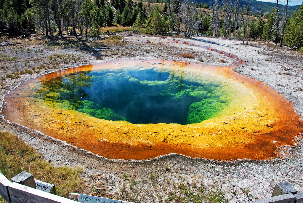 Morning glory pool