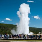 Objek Wisata Terbaik Di Taman Nasional Yellowstone