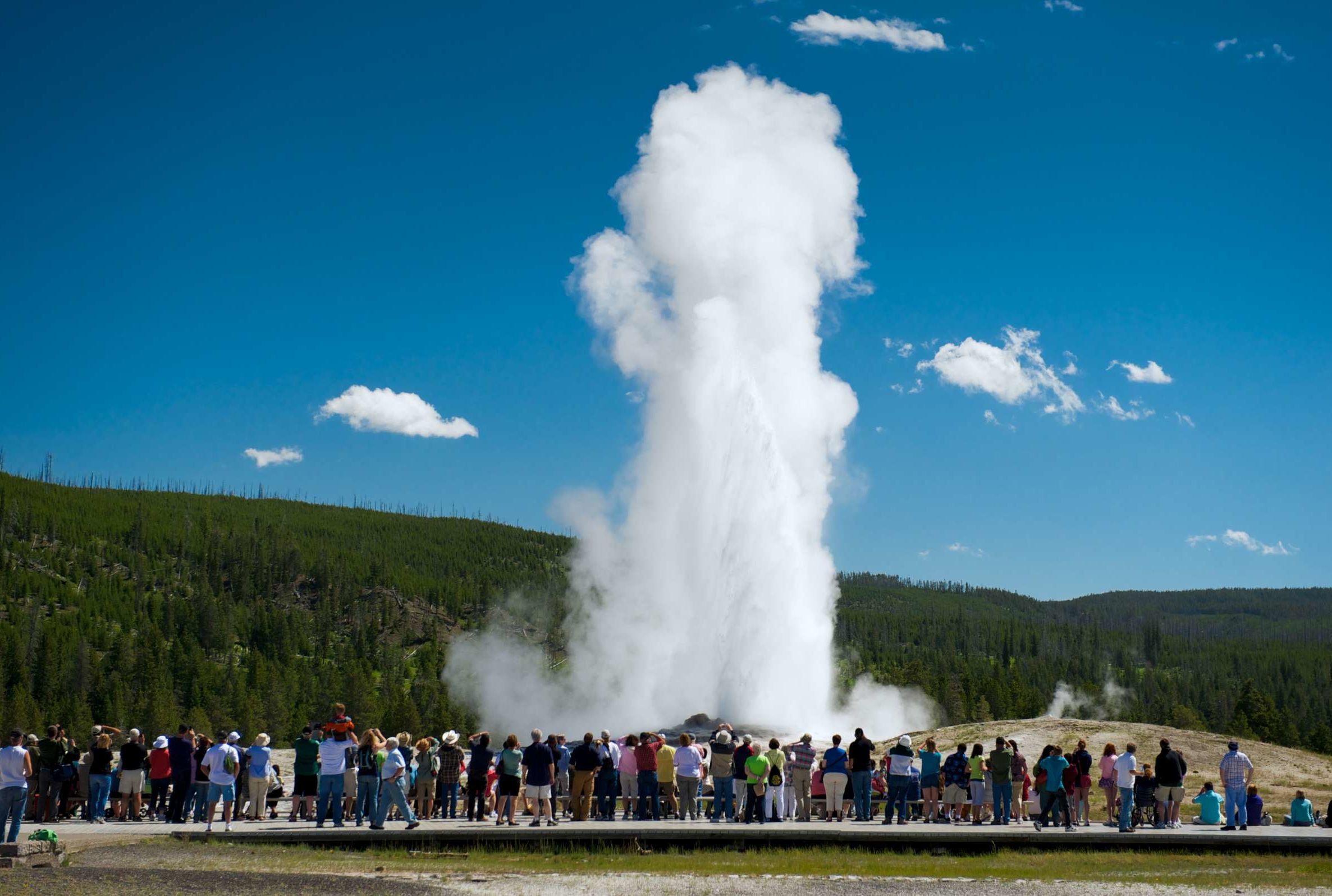 Objek Wisata Terbaik Di Taman Nasional Yellowstone