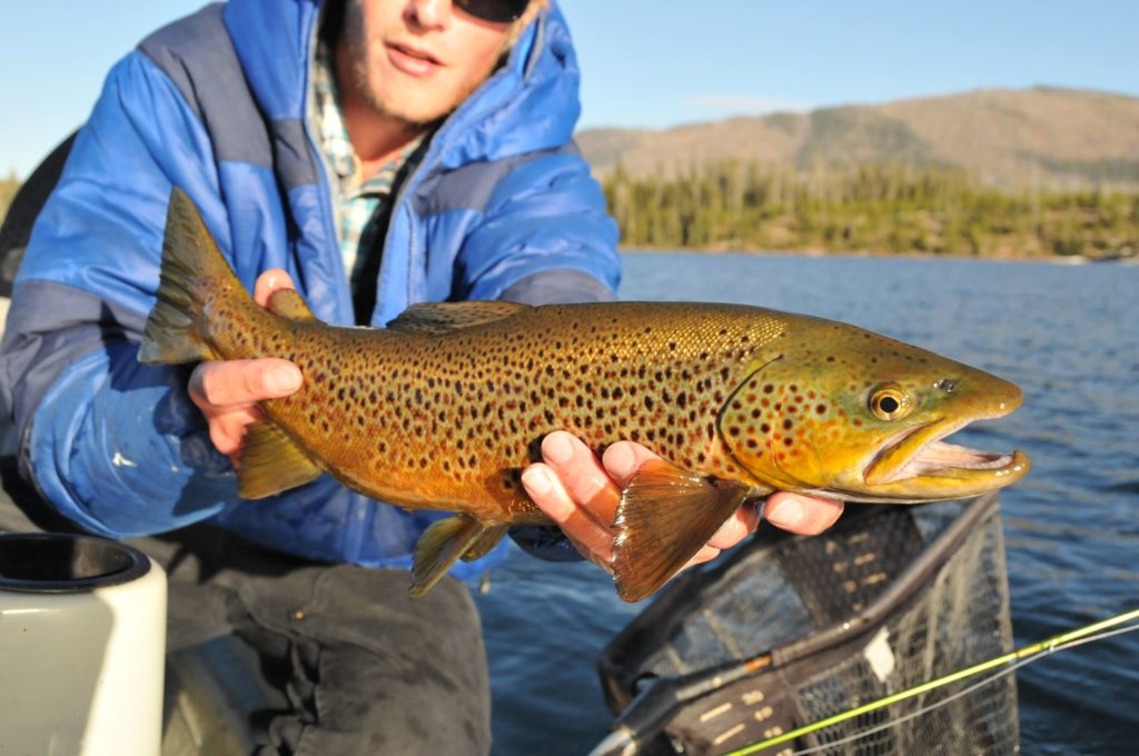 Fishing on Lake Lewis