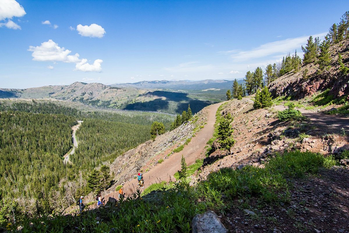 Pendakian Gunung Washburn Yellowstone