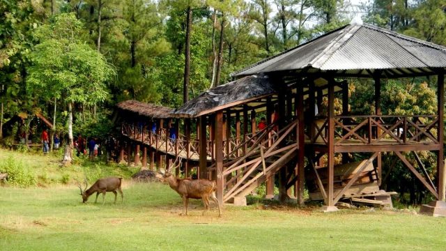 Beberapa Rekomendasi Destinasi Wisata yang ada di Kota Bogor