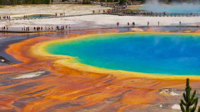 fakta-menarik-tentang-yellowstone-amerika-serikat